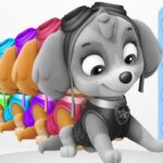 Learn Colors with paw patrol Skye’s uniform