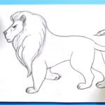 How To Draw A Lion For Kids